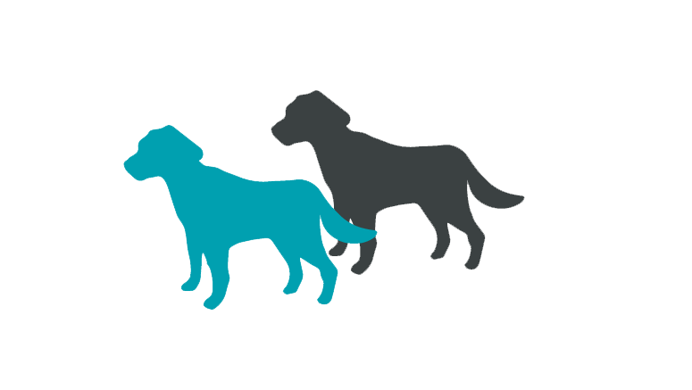 Creekside puppy adoption breeds