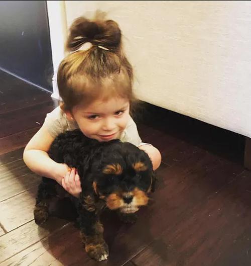 Our baby caring for one of our puppy at Creekside Puppy Adoption