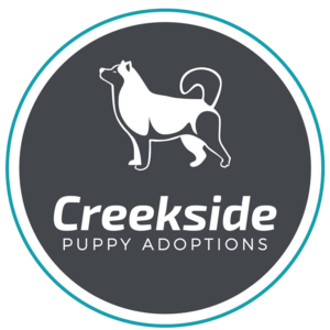 Creekside Puppy Adoptions